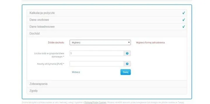 Allegro raty - Przewodnik po skutecznym korzystaniu z płatności ratalnych