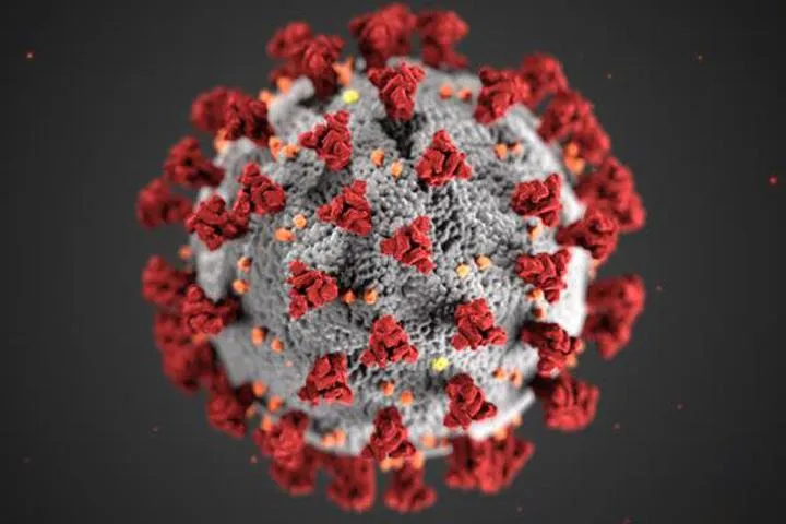 Dzisiaj w liczbach: najnowsze zmiany w ilości zachorowań na koronawirusa