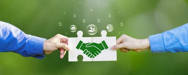 Jakie Oprogramowanie Do Zarządzania Finansami Wybrać? Najlepsze Opcje Na Rynku