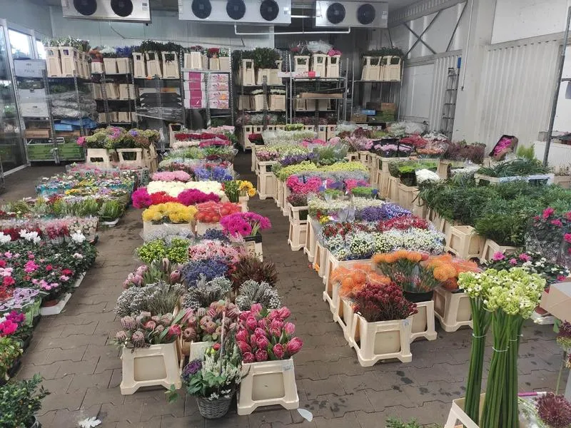 Analiza rynku kwiatów