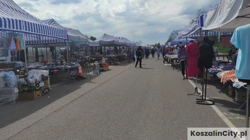 Giełda Koszalin przewodnik dla nowych klientów