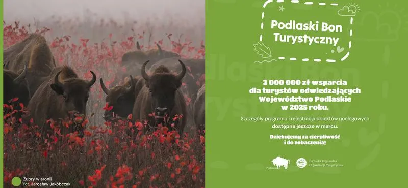 Przewodnik krok po kroku bon turystyczny