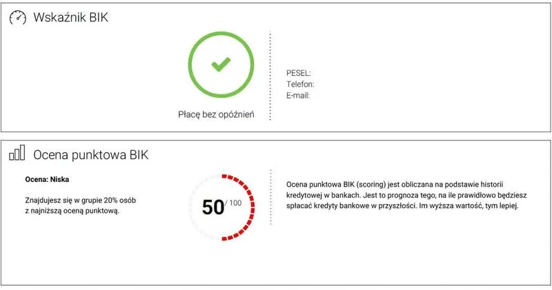 Raport BIK jak czytać