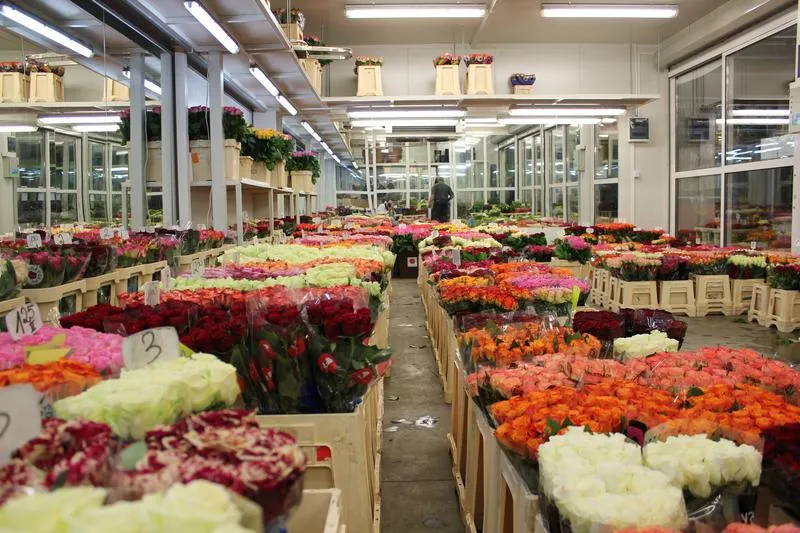 Sezonowość kwiatów a zakupy