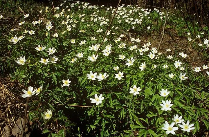 Zmiana regulaminu ZFŚS